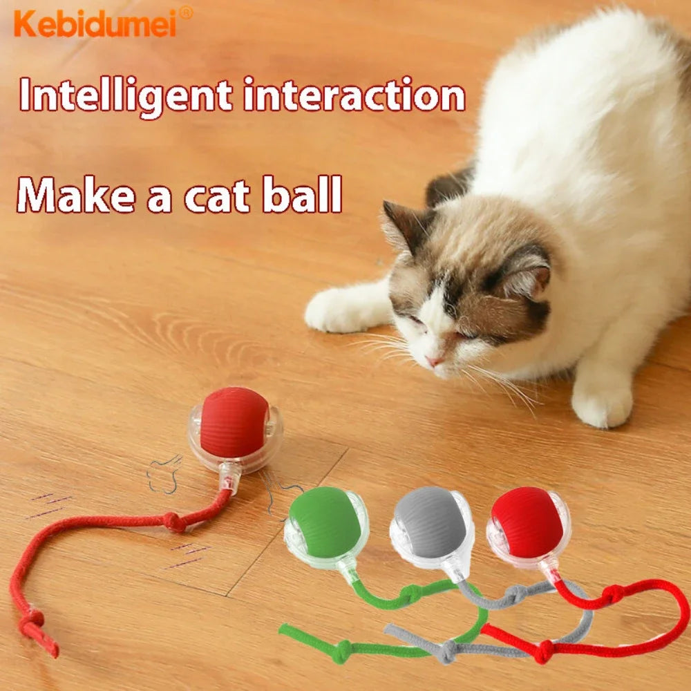 Interactive Cat Toy Ball