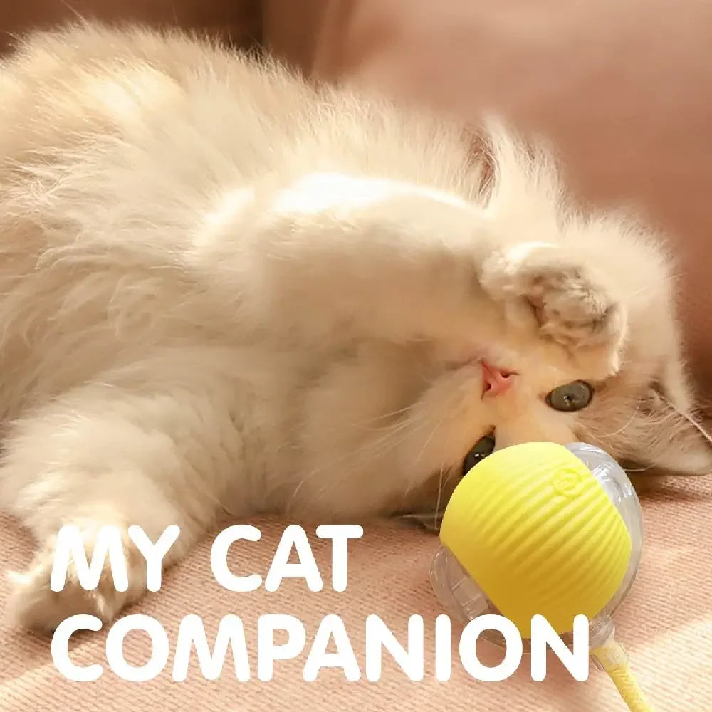 Interactive Cat Toy Ball