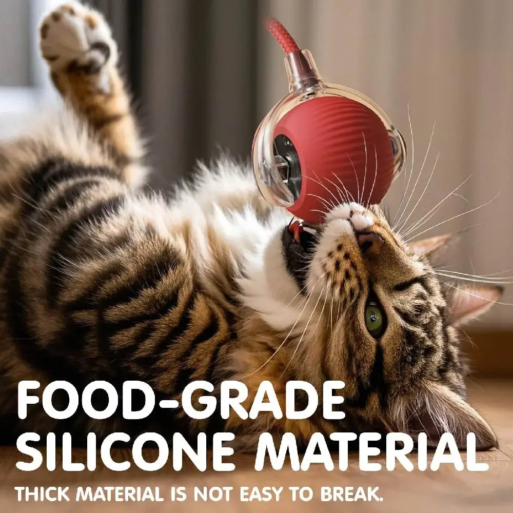 Interactive Cat Toy Ball