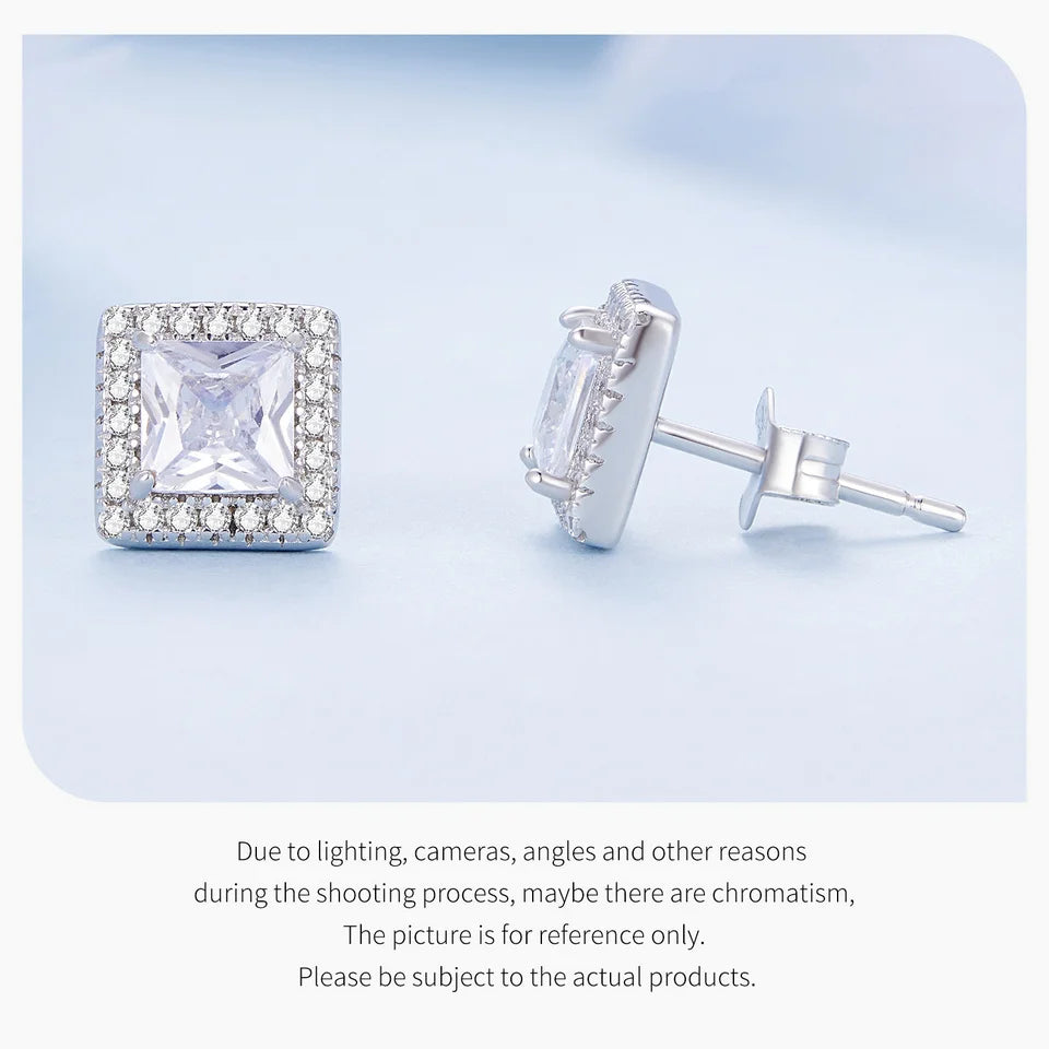 ERFARY Platinum Plated  Earrings
