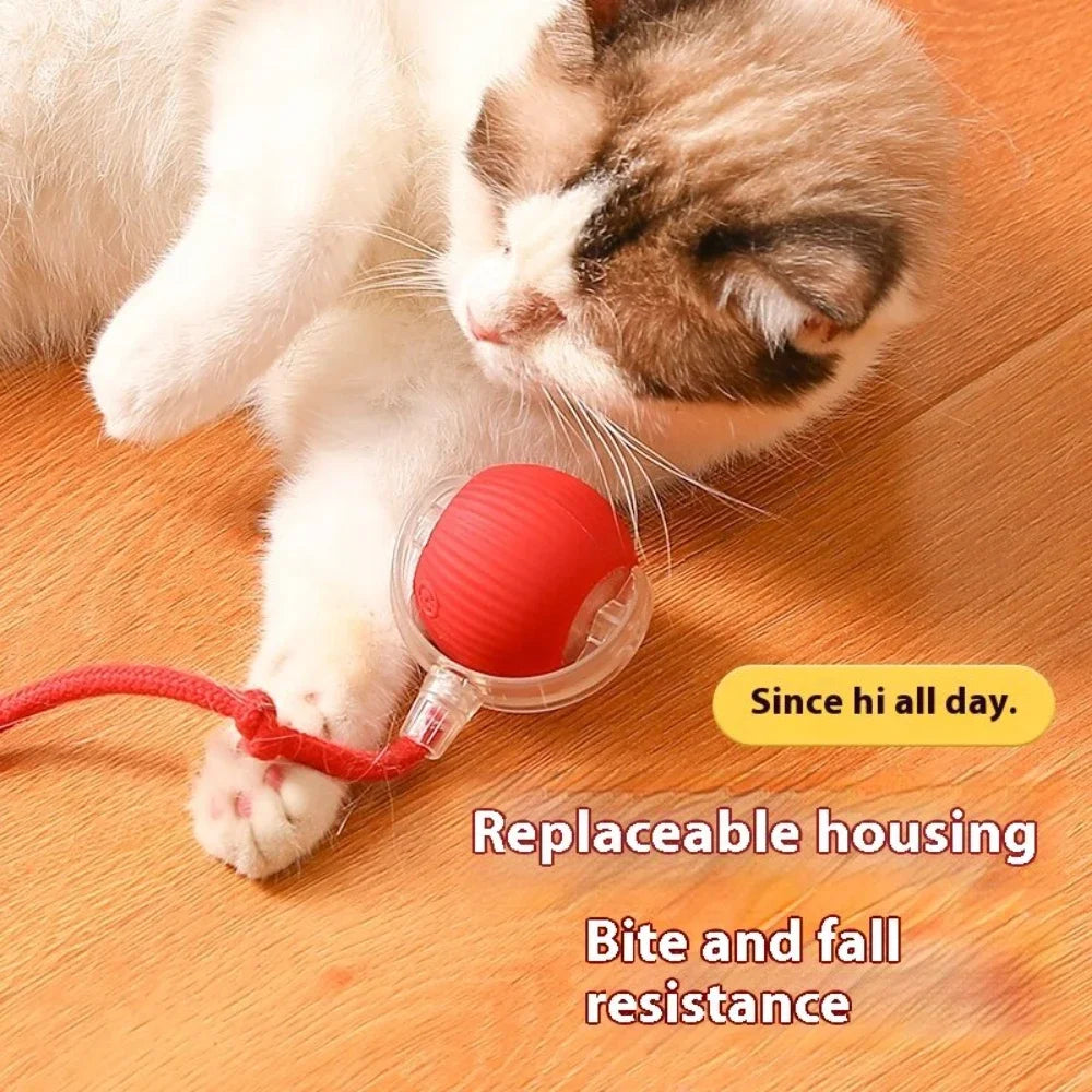 Interactive Cat Toy Ball