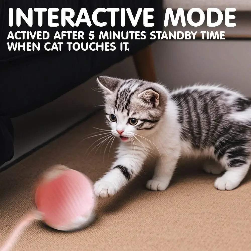 Interactive Cat Toy Ball