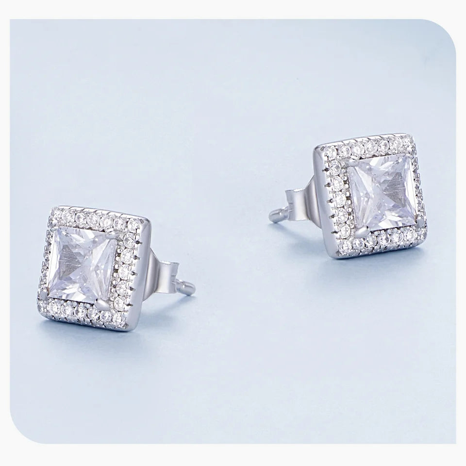 ERFARY Platinum Plated  Earrings