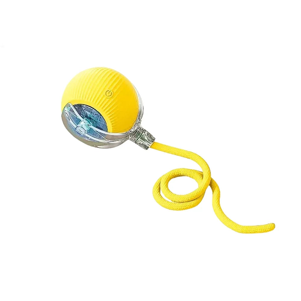 Interactive Cat Toy Ball