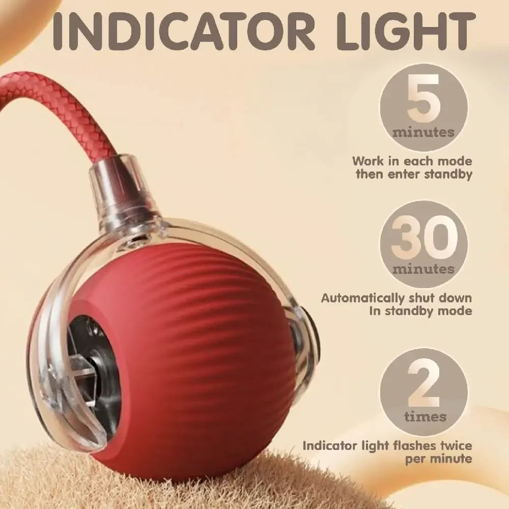 Interactive Cat Toy Ball