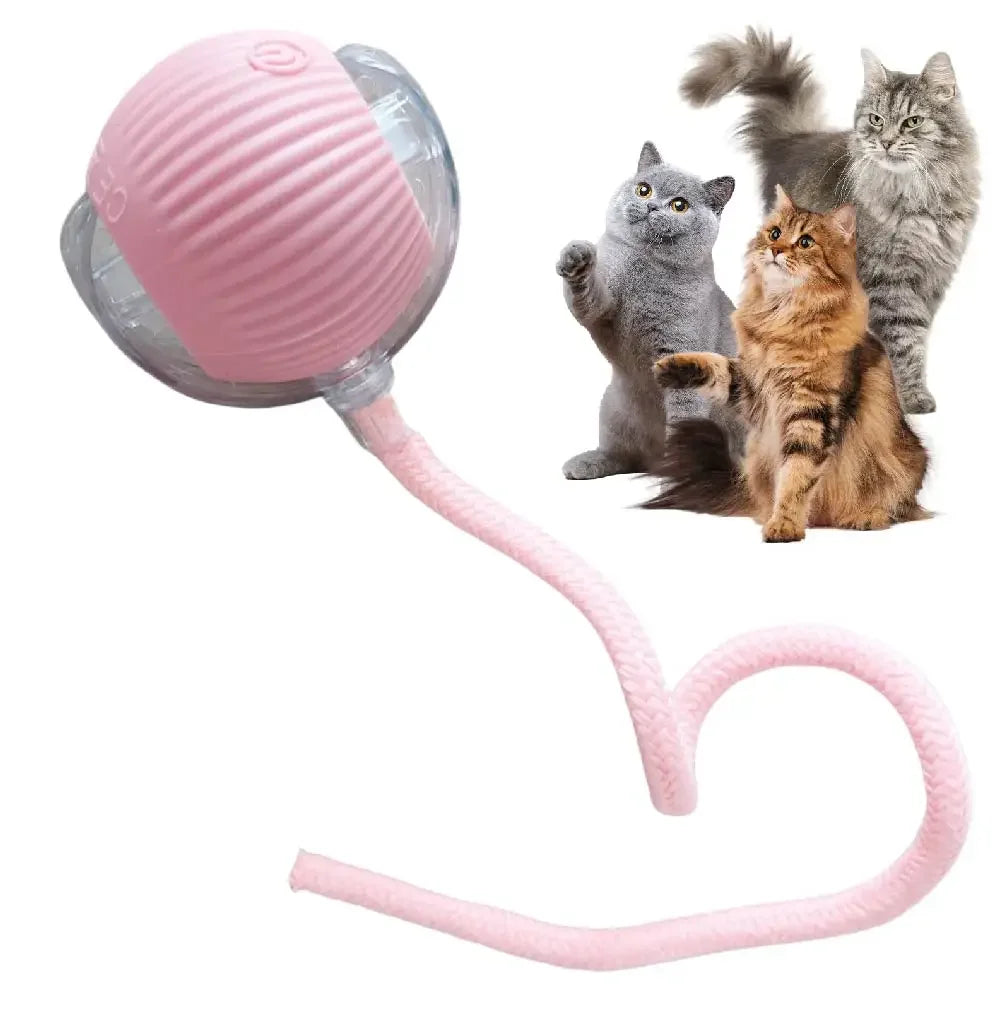 Interactive Cat Toy Ball