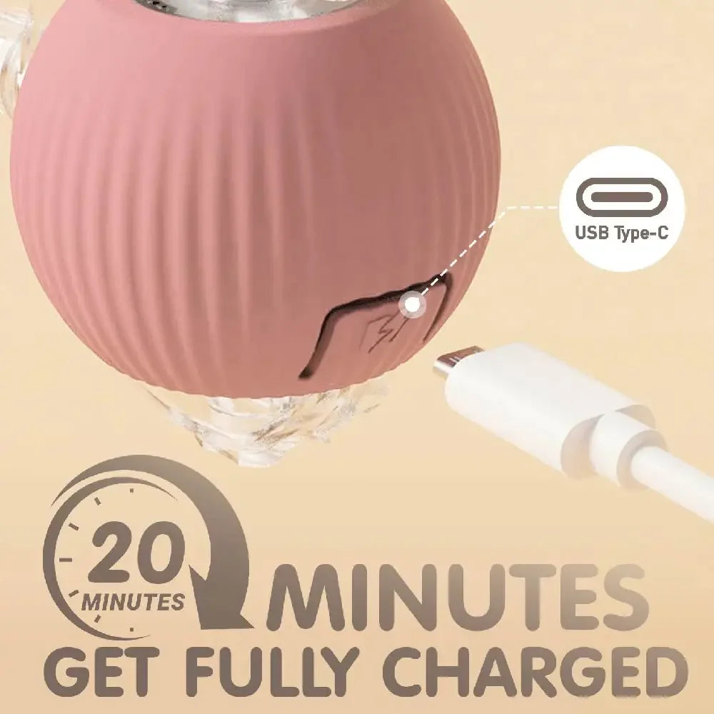 Interactive Cat Toy Ball