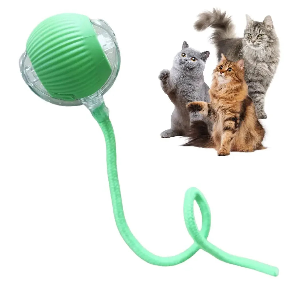 Interactive Cat Toy Ball