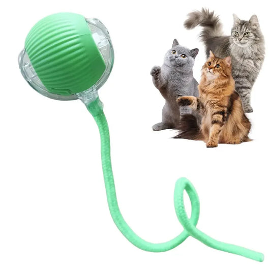 Interactive Cat Toy Ball