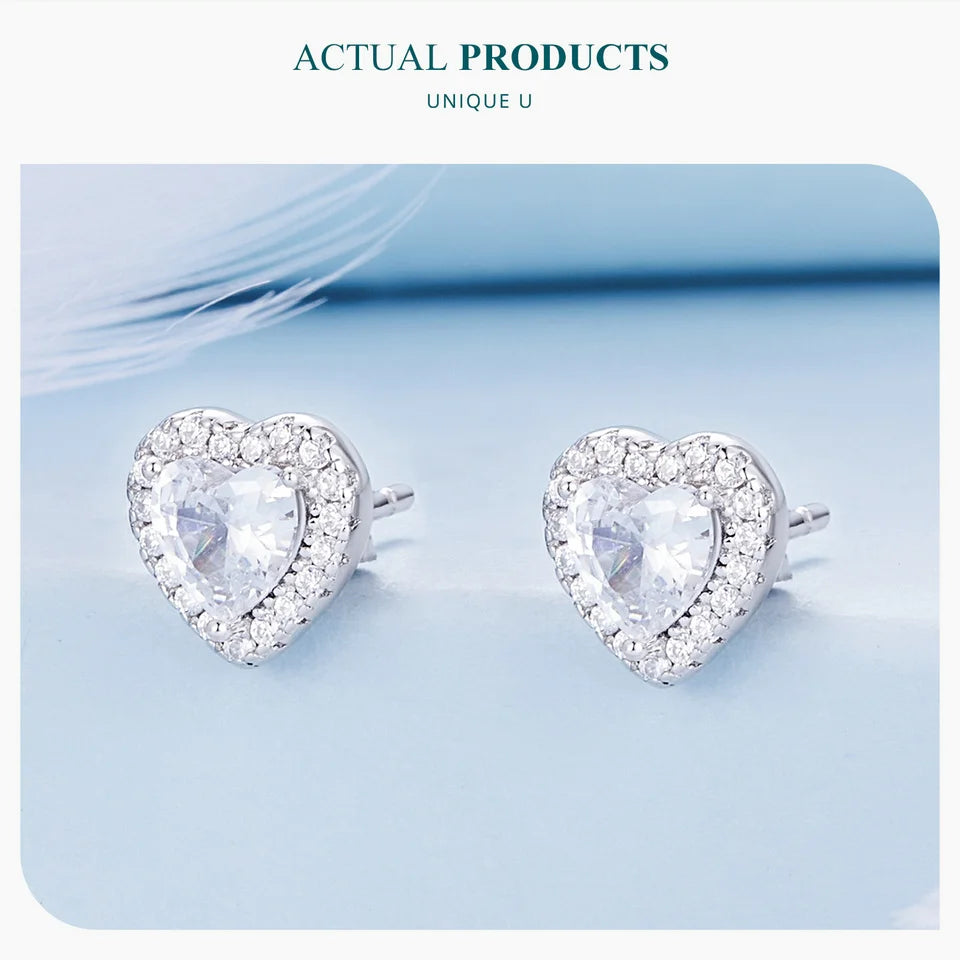 ERFARY Platinum Plated  Earrings